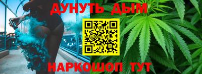 шишки Гай