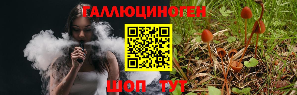 Борисоглебск  Галлюциногенные грибы Psilocybe  Вход с VPN 